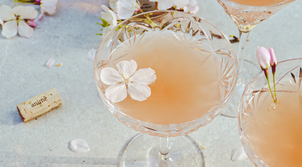 header-image-anime-la-vie-